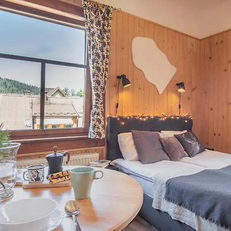 Samo Centrum Apartment *