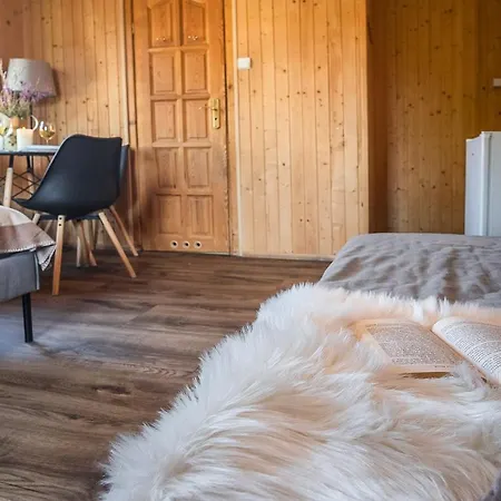 Samo Centrum Apartment