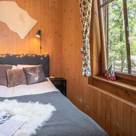 Samo Centrum Apartment *