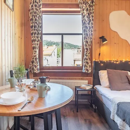 Samo Centrum Apartamento Zakopane